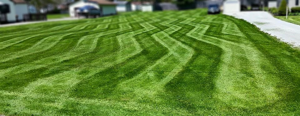 Iden Design - Lawncare and mowing